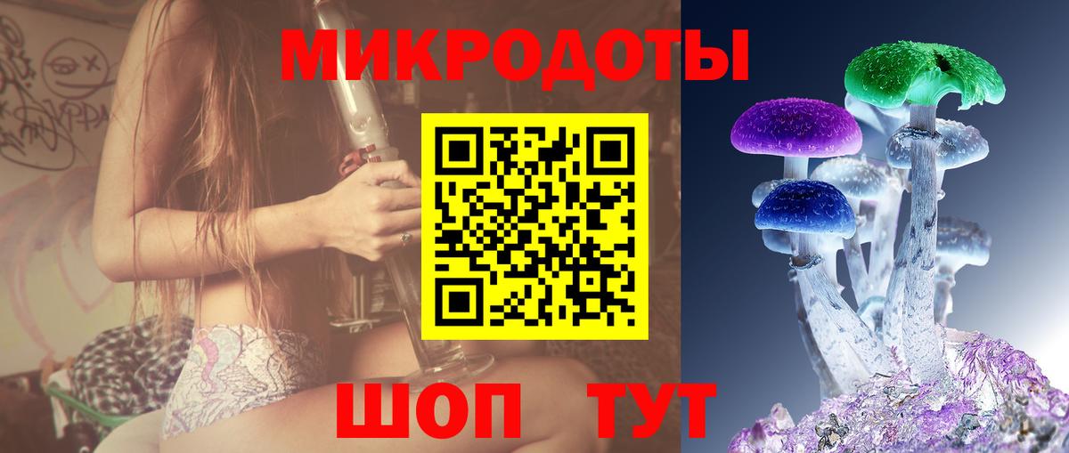 Псилоцибиновые грибы Psilocybine cubensis  Вход с VPN  Россошь 